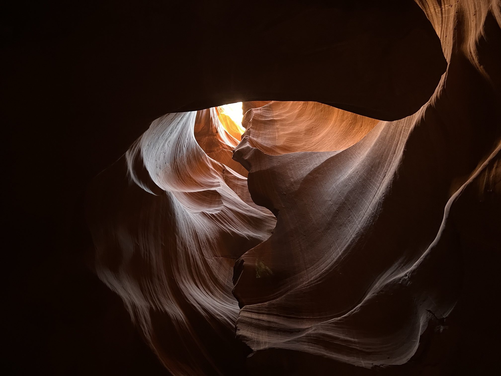 Discover Page Arizona: Your Ultimate Guide to Antelope Canyon